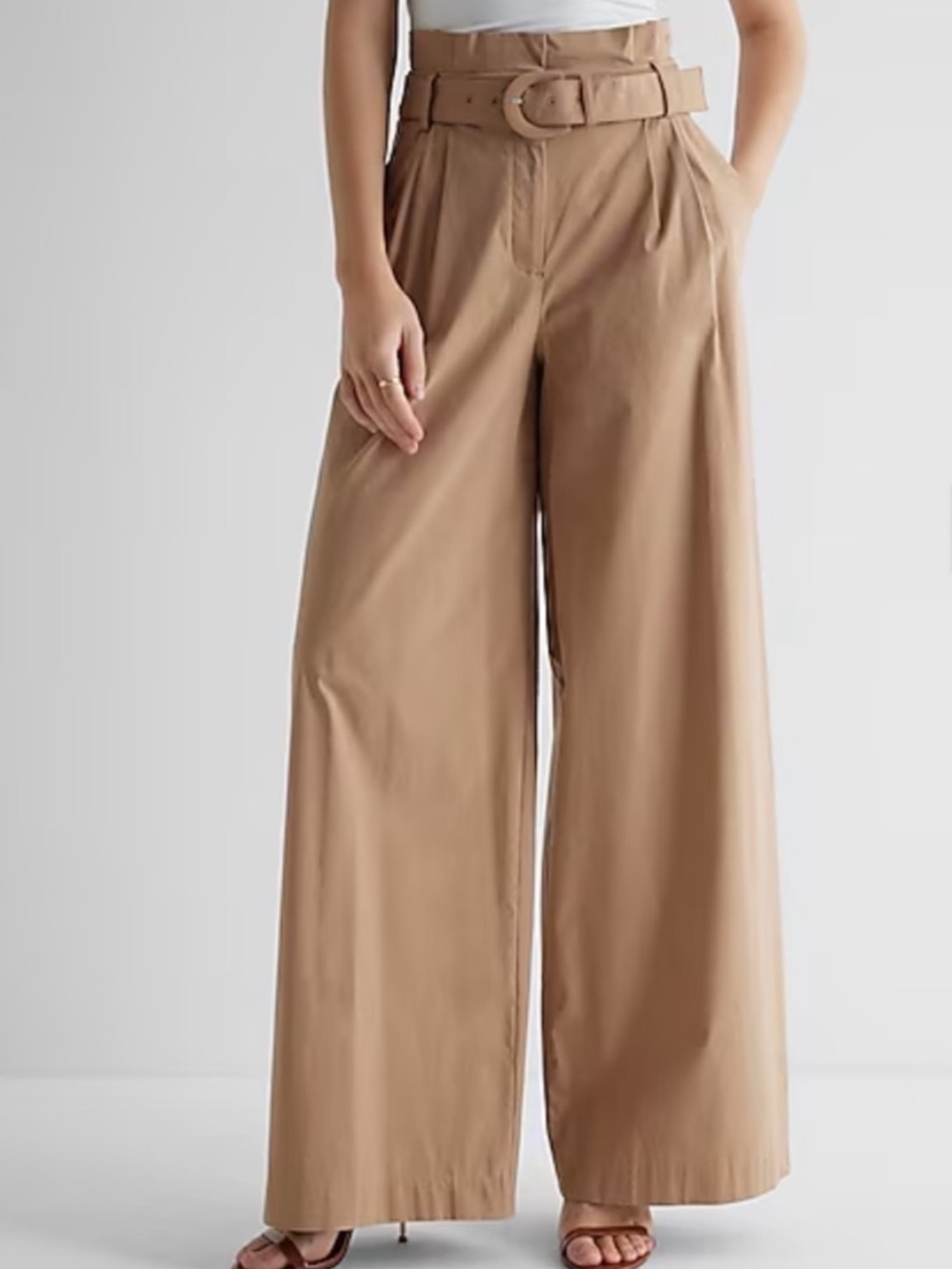 Express High-Waist Wide-Leg Trousers with Belt - Taupe